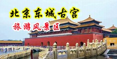 嫩穴口中国北京-东城古宫旅游风景区